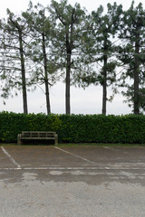 Isolated bench in a parking lot - Bench with hedge
