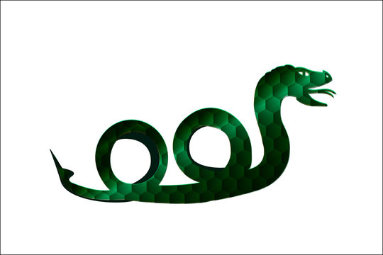Snake icon. Vector. Logo or emblem.