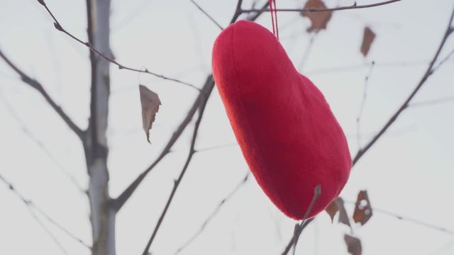 heart in form of soft toy hangs on tree in the open air.