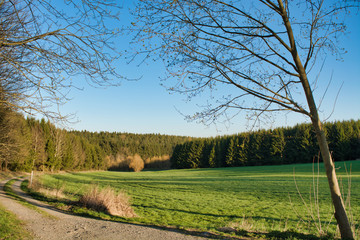 Obraz premium Scenic summer landscape with green fields