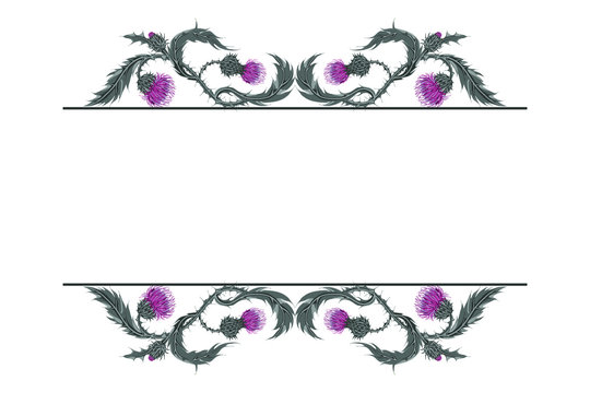 Frame for text with linear horizontal pattern of Scottish flower thistle on white.