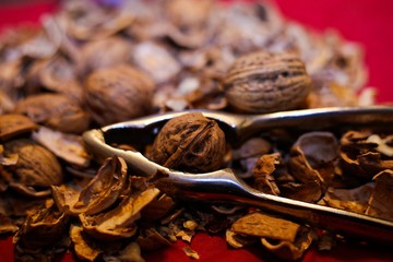 Close up pile with cracked walnut shells and isolated retro lever nutcracker with red background.