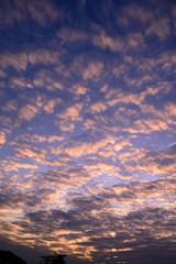 Cloudy sky in the evening and light gold. Vertical photo.