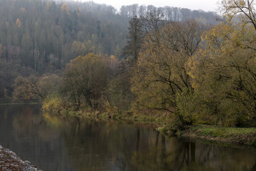 Fototapeta premium river bank covered with trees in fog in autumn
