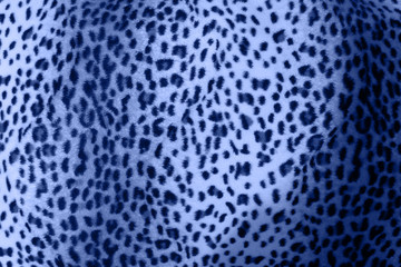 Obraz premium Jaguar skin pattern background in blue tone.