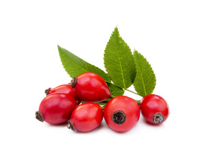 Ripe rose hip isolated on white background
