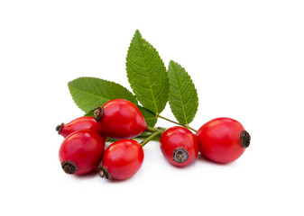 Ripe rose hip isolated on white background