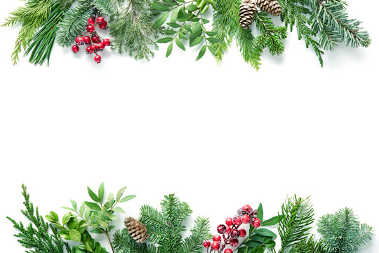 Flat lay composition with winter fir branches, cones, holly isolated on white background