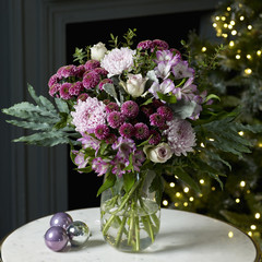 Close-up of green house plant pot over white wooden table.