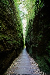 Wanderweg durch die Drachenschlucht im Thüringer Wald bei Eisenach