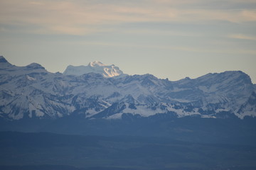 tete-de-ran