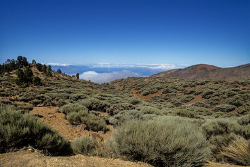 Parc national, Las Canadas Del Teide, ile Tenerife, Iles Canaries, Espagne