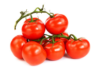 Bunch of red tomatoes on a green twig on an isolated background