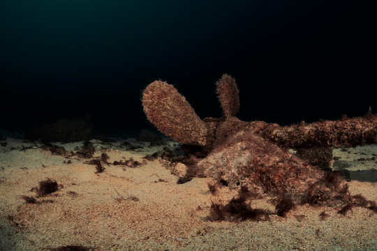 H&eacute;lice de un pecio submarino en el atl&aacute;ntico