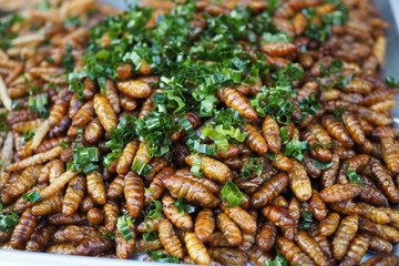 Fried Insect street food of Thailand