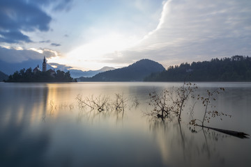 Bled lake stillness and a log