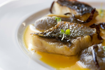 baked white fish fillet in sauce