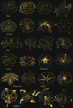 collection of golden flowers. Isolated image on a black background.