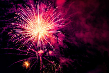 Fototapeta premium Fireworks