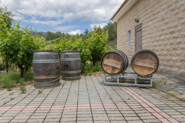 old wooden wine barrels, winery, Cyprus