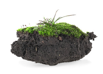 Green moss with grass on pile of soil, white background.