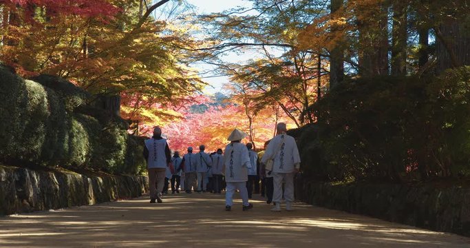 MOUNT KOYA, JAPAN - NOVEMBER 15, 2019: Visitors in Danjogaran temple with maple trees season Autumn colors, at Mount Koya, Japan.