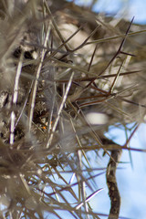 gotta make it through