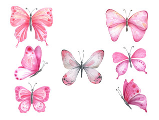 Fototapeta na wymiar Watercolor butterflies in pink colors.