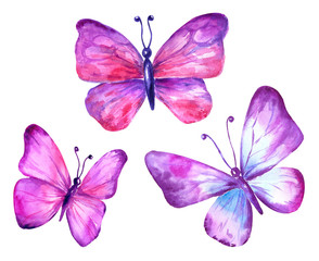 Obraz na płótnie Canvas Set of watercolor butterflies violet blue pink.