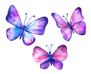  Set of watercolor butterflies violet blue pink.