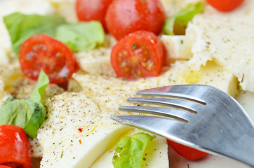 Close-up of mozzarella cheese, tomatoes, basil and fork.