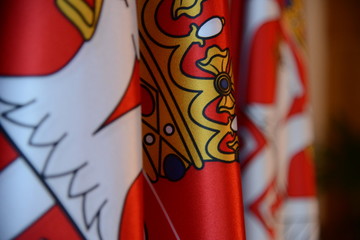 Central view of Serbian flag details with other details in bokeh