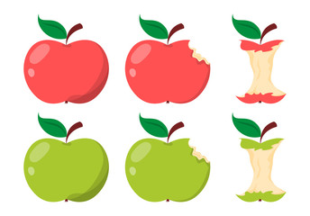 Apple core. Green and red sweet fruit. Illustration of food