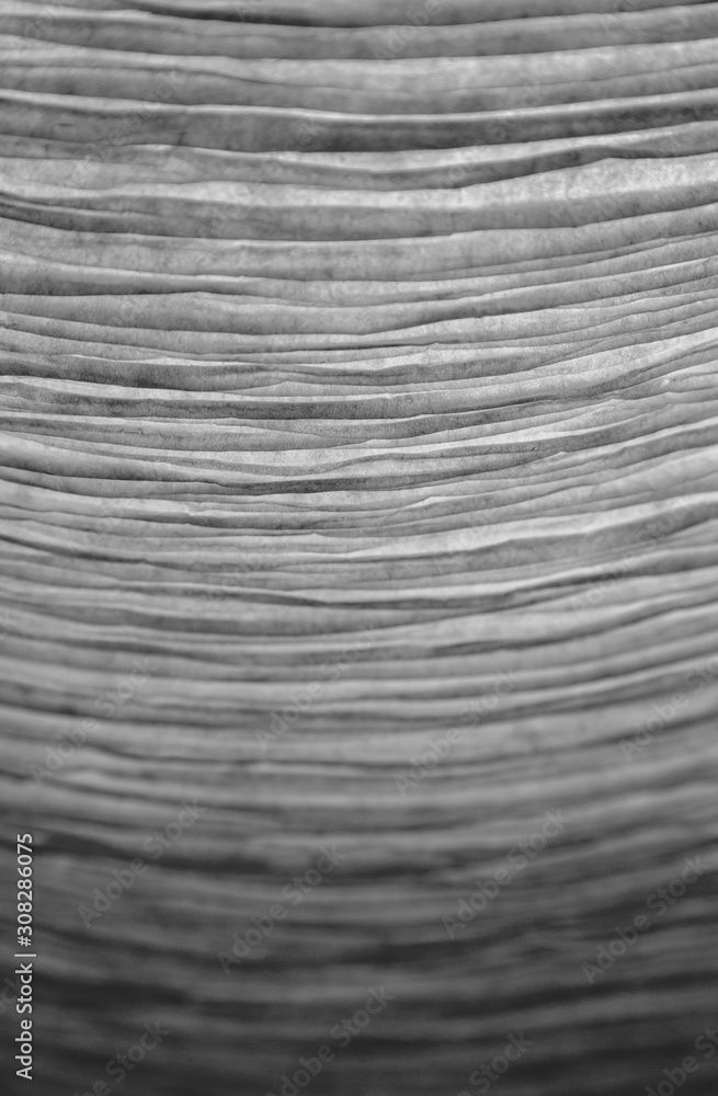Poster close-up of a creased and backlit paper lampshade in black and white. high resolution full frame tex