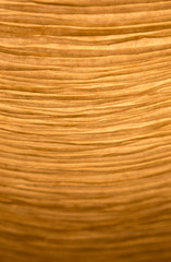 Close-up of a creased and backlit yellow paper lampshade. High resolution full frame textured...