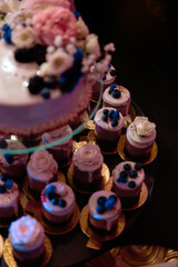 Blueberry with creme decorations wedding reception cake with small cupcakes for guests in Eastern European Baltic Riga Latvia