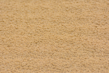 Fototapeta na wymiar Feine Strukturen im nassen Sand, Hintergrund