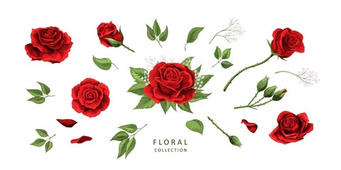 Red roses hand drawn illustration elements colored set