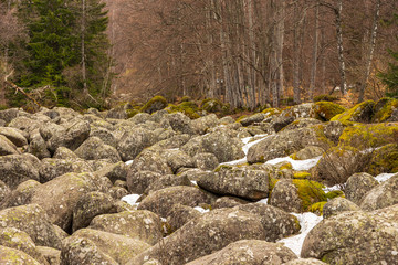 Stone river, scree, in Vitosha massif, Sofia, Bulgaria.