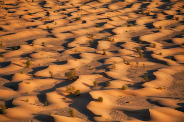dunes with tire marks