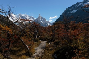 Cerro Torre