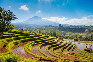 toneelpanoramamening van rijstterrassen met vulkaan in Bali Indonesië