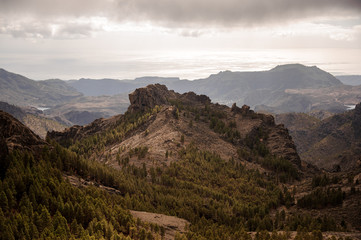 Amazing view of the mountains in the day time covered with trees under clear sky