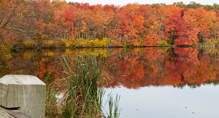View of the autumn colored trees from the bridge at Southards Pond