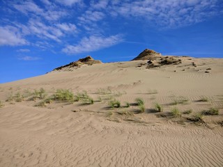Fototapeta na wymiar Desert On Curonian Spit in Lithuania
