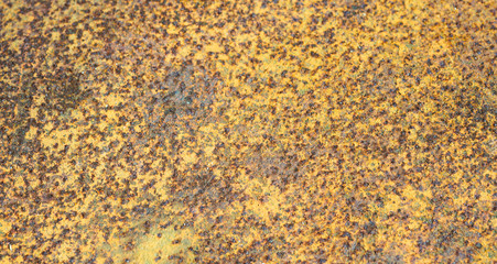 Rusted white painted metal wall. Rusty metal background with streaks of rust. 