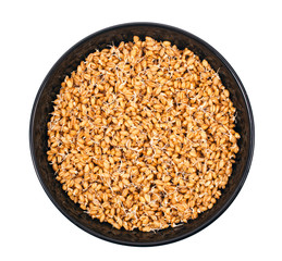 Sprouted wheat in black ceramic bowl isolated on a white background. Top view.