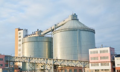 plants tanks big tank