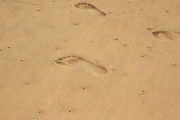 footprints of a man in the sand on the beach, footprint