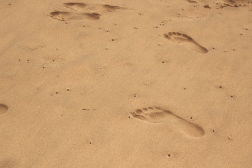 Fototapeta na wymiar footprints of a man in the sand on the beach, footprint